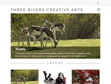 Tablet Screenshot of 3riverscreative.com